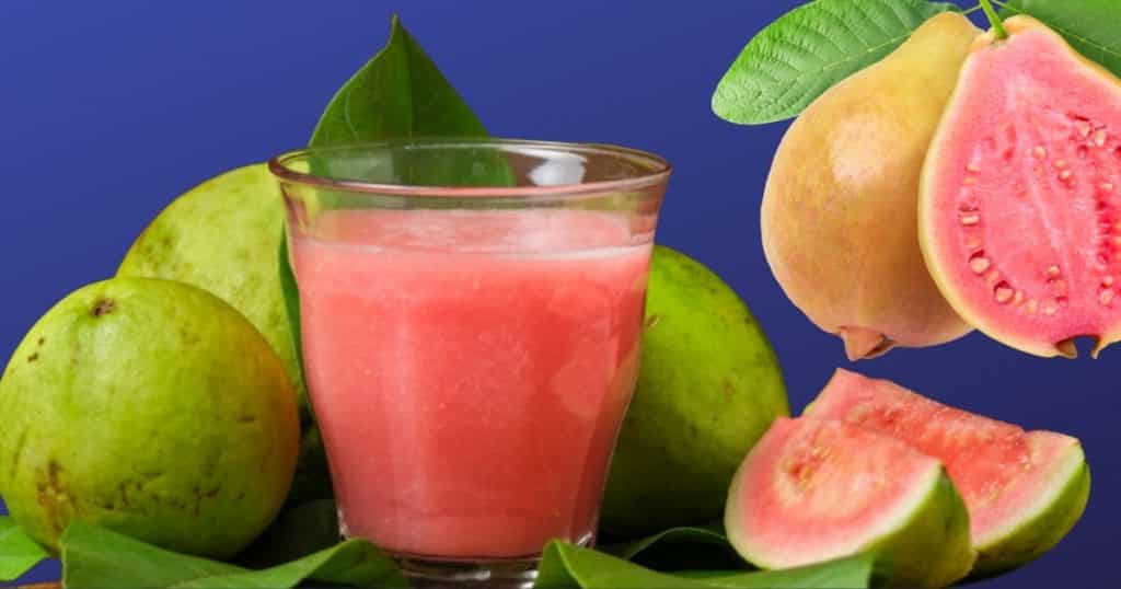 guava fruit image